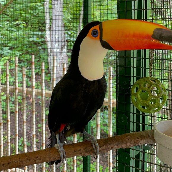 Other - Follow me & I'll follow you back!